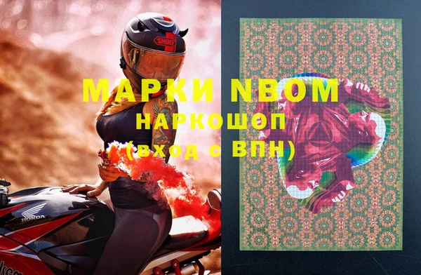 амф Алексин