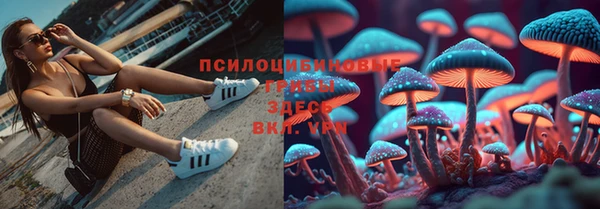 амф Алексин