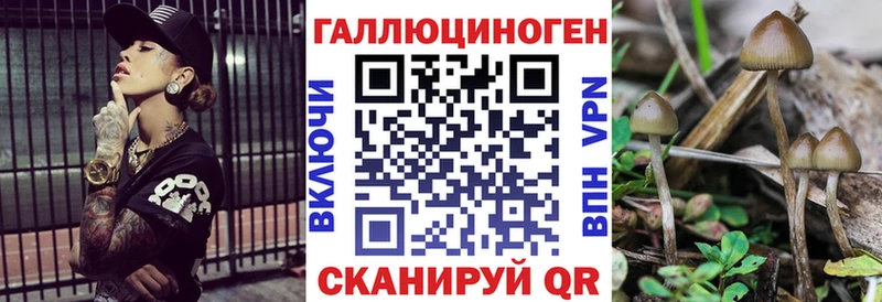 Псилоцибиновые грибы GOLDEN TEACHER  наркота  Сосновка 